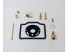 Carburettor repair kit for one carb.